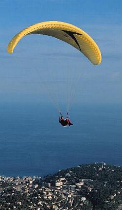 arcus.jpg (15003 bytes)