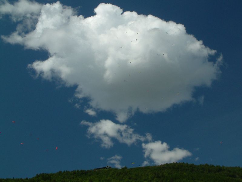 CuSkjermerHanguren.jpg (35365 bytes)