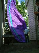 LTaklanding.JPG (8587 bytes)